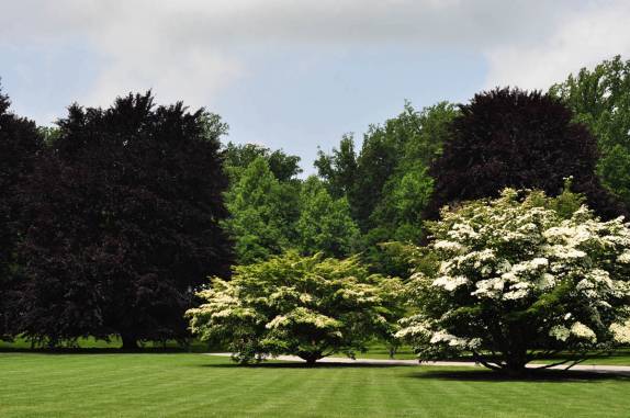 Os cuidados jardins de Longwood Gardens, na Pennsylvania - Estados Unidos
